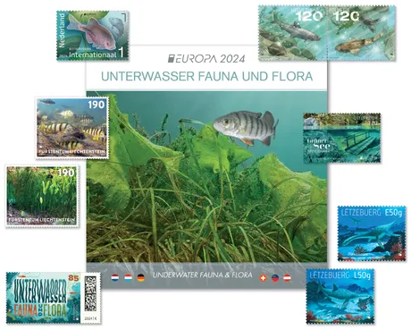 multiaterale2024FaunaFlora multiaterale2024FaunaFlora