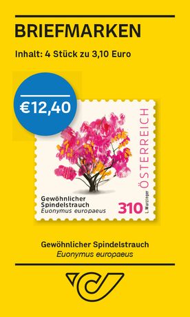 Gewöhnlicher Spindelstrauch – Euonymus europaeus