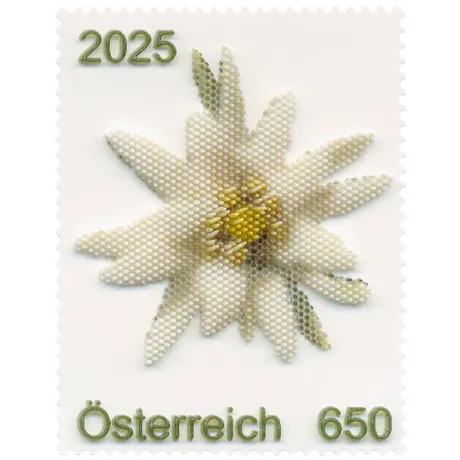Sonderbriefmarke „Edelweiß reloaded“ aus Österreich mit detailreicher Darstellung einer weißen Edelweißblüte und gelbem Zentrum. Nennwert: 650 Cent, Ausgabejahr: 2025.