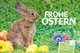 625007_COV-Ostern25