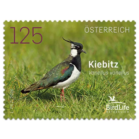 „Österreichische Briefmarke mit Abbildung eines Kiebitz (Vanellus vanellus) auf einer Wiese, Wert 1,25.“