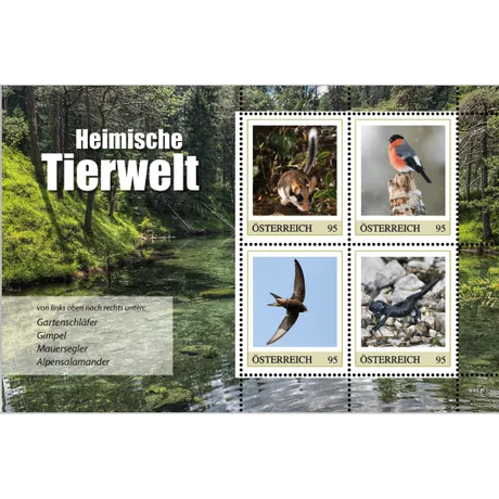 b7e8b4d98f216f53cc93c5cca18facbbb55f4e8e.png Austrian Post stamp set 2023, €0.95 each: Garden dormouse, bullfinch, swift, alpine salamander, titled 'Native Wildlife'.
