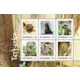 46d7c5caccc5307701e9fbd9b68c5430582f4065.png Austrian Post 2023 stamp sheet, 'Animal Babies in Schönbrunn Zoo,' 6 stamps, €0.85 each, featuring baby animals.
