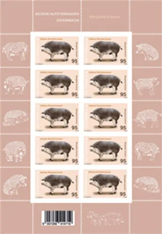 224740 Mangalitza KB OLINESHOP