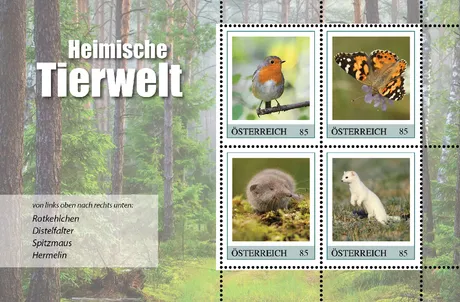 7b049fefbee9153377f58832597a3d866e31a6a1.png 7b049fefbee9153377f58832597a3d866e31a6a1.png