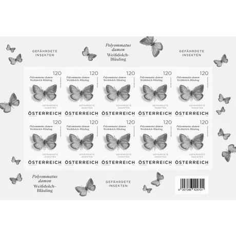 Weißdolch-Bläuling – Polyommatus damon Briefmarkenblock Österreich 2023, Nominale 1,20 €: Gefährdete Art 'Polyommatus damon' (Weißdolch-Bläuling) Schmetterlingsmotiv.