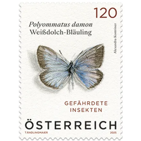 Briefmarke Österreich 2025, Nominale 1,20 Euro: Gefährdete Insekten, Illustration des Weißdolch-Bläulings.
