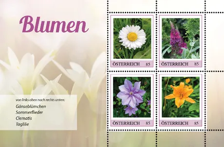 3_Maerz_ME4 Blumen1 3_Maerz_ME4 Blumen1