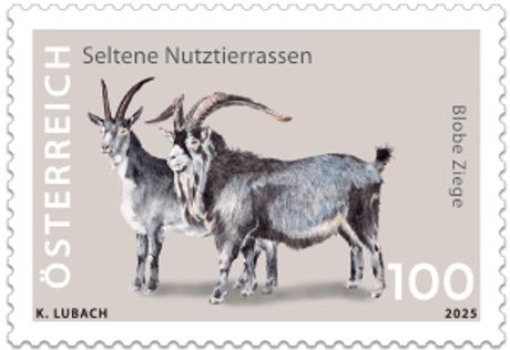 225200-Blobe-Ziege-ONLINESHOP