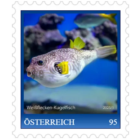 Briefmarke Österreich 2025, Nominale 0,95 Euro: Weißflecken-Kugelfisch in blauer Unterwasserszene.