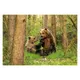Two brown bears playing on a meadow in forest, surrounded by trees and green grass