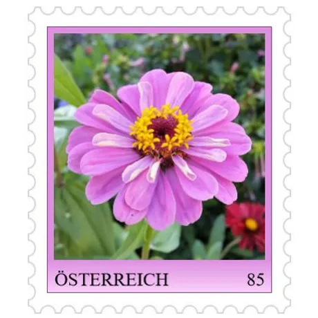 Austrian stamp 85 cents, featuring a pink zinnia flower with a yellow center, surrounded by greenery.