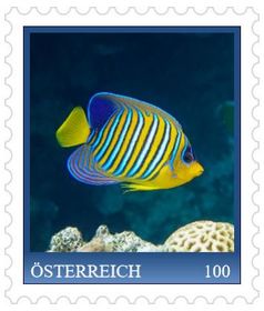 fish series, “Royal angelfish” Stamp Edition 1