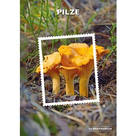 “Mushrooms” - Stamp Edition 20
