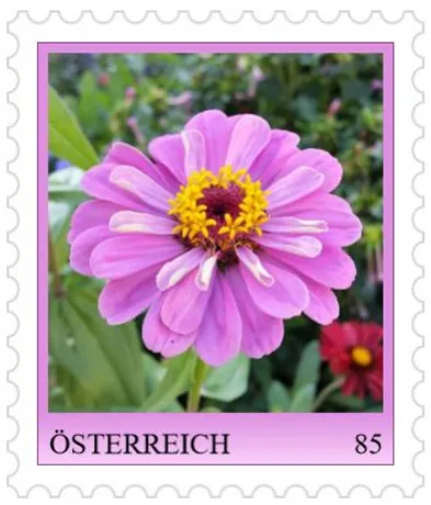 Austrian stamp 85 cents, featuring a pink zinnia flower with a yellow center, surrounded by greenery.