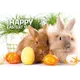 Zwei Hasen mit bunten Ostereiern und Gras, dazu der Text 'Happy Easter!'. Oster-Thema der Österreichischen Post.