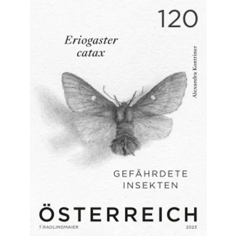 d479ccade2d102c5010f9e7258d75dd619d1c879.png Austrian stamp 2023, nominal value 1.20 euros: endangered insect Eriogaster catax, detailed pencil drawing.