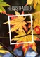 124611_ME20_einMotiv_Herbstfarben_Folder_fW_shop