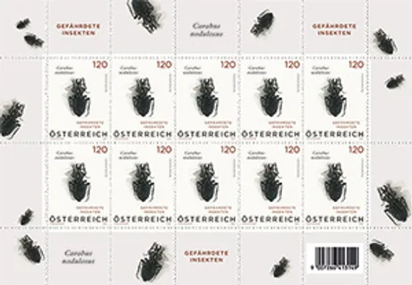 Austrian Post stamp sheet 2023, €1.20: Endangered insects, featuring Carabus nodulosus beetle illustration.
