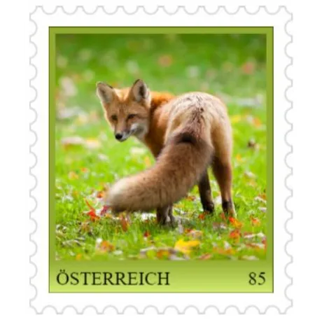 79841e9cd363c03c1f650a0cfb320bacaa84dd75.jpg Briefmarke Österreich 2023, Nominale 0,85 Euro: Rotfuchs auf Wiese mit Herbstblättern.
