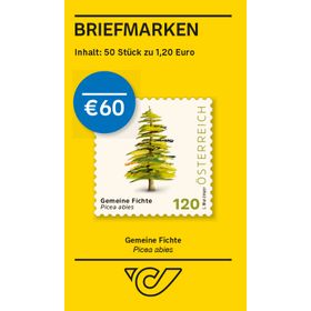 BMS50 à 1,20 ''Gemeine Fichte – Picea abies''