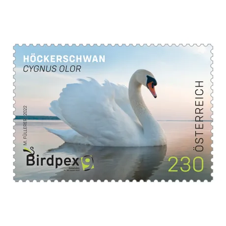 bd5f650c9134eb8610875af217874e99e6cdc39d.jpg Briefmarke Österreich 2022, Nominale 2,30 Euro: Höckerschwan (Cygnus olor) auf einem See, Birdpex 9, Gmunden.