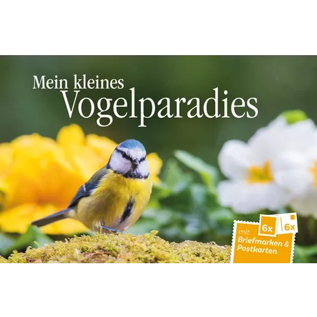 „Blaumeise sitzt auf Moos vor gelben und weißen Blumen, mit Text Mein kleines Vogelparadies.“