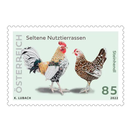 f02fed99059e4010e12c202310f8a7ba55fef05f.jpg Briefmarke Österreich 2022, Nominale 0,85 Euro: Seltene Nutztierrassen, Illustration von Steinhendl-Hahn und -Henne.