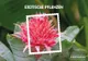 Austrian Post stamp series 'Exotic Plants' featuring a pink tropical flower. Includes 8 stamps.