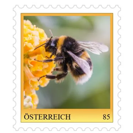 d58b6db569e9eb3565eb076559bd749bf146c0b5.jpg Briefmarke Österreich 2023, Nominale 0,85 Euro: Hummel auf gelber Blume, grüner Hintergrund.