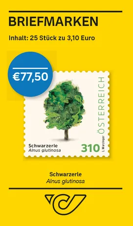Schwarzerle – Alnus glutinosa