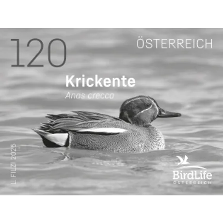 SD_Krickente_0325 Austrian stamp 2025, nominal value 1.20 euros: Teal duck (Anas crecca) on water, BirdLife Austria logo.