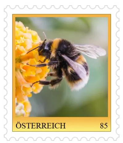 d58b6db569e9eb3565eb076559bd749bf146c0b5.jpg d58b6db569e9eb3565eb076559bd749bf146c0b5.jpg