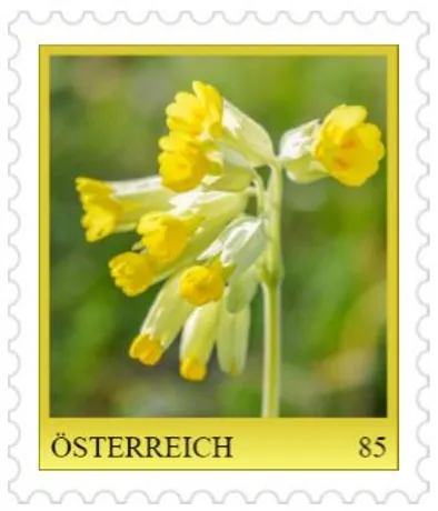 d5460c7d50d07df9672ecf3b4c383770ccb68c7b.jpg d5460c7d50d07df9672ecf3b4c383770ccb68c7b.jpg