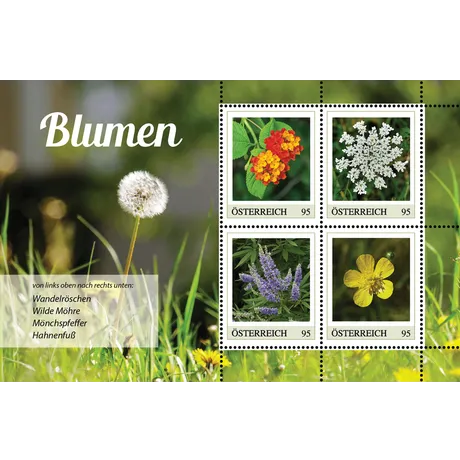 ME4:Blumen_1124 Austrian Post 2023 stamp set, 0.95€ each: flowers - Lantana, Wild Carrot, Chaste Tree, Buttercup.