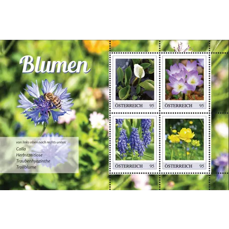 94ef02bc54ed9d262f5cfc14424ee6fbfa6efd0c.jpg Briefmarken Österreich 2023, Nominale 0,95€: Calla, Herbstzeitlose, Traubenhyazinthe und Trollblume auf Blumenhintergrund.