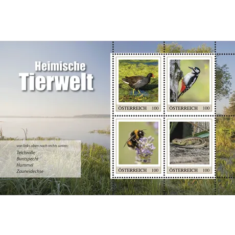 Austrian Post 2023 stamp series 'Native Wildlife', 1.00 Euro each: moorhen, woodpecker, bumblebee, sand lizard.