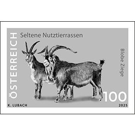 "Blobe Ziege" Schwarzdruck