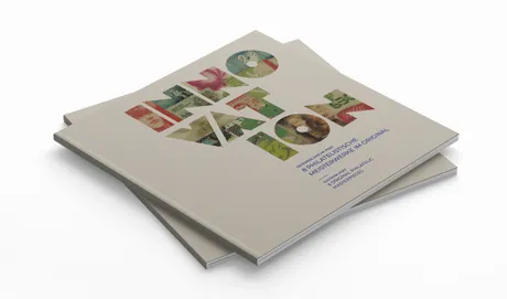 Außenseite einer Klappkarte mit zwei gestapelten Büchern, deren oberes den Titel „INNOVATION“ in großen, bunten Buchstaben zeigt; jeder Buchstabe enthält ein eigenes Bildmotiv, Hintergrund hellgrau.