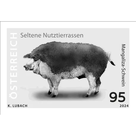SD_Mangaliza_Schwein Briefmarke Österreich 2024, Nominale 0,95 Euro: Seltene Nutztierrassen, Illustration eines Mangaliza-Schweins.