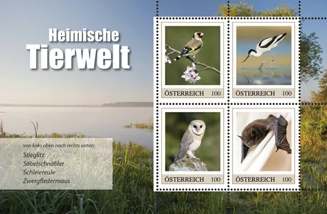 9392b4ec67da378f47b721753868fc2ca67dbe20.png 9392b4ec67da378f47b721753868fc2ca67dbe20.png