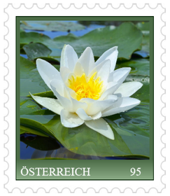 flower series, “Water lily“ Stamp Edition 1