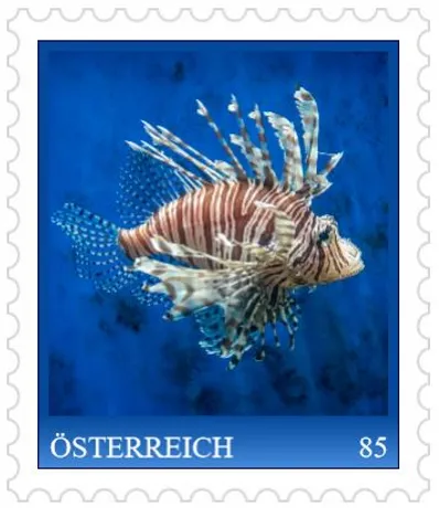 4224d29836077f6d8014d7a1ca1a2d000f130e19.jpg 4224d29836077f6d8014d7a1ca1a2d000f130e19.jpg