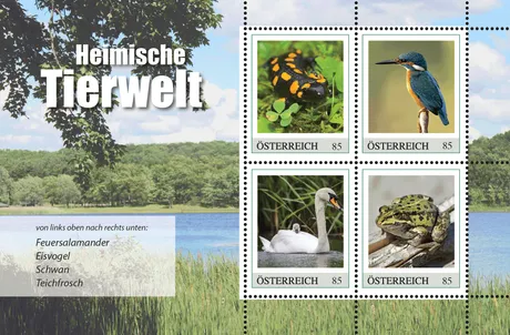 24d8f524ef428d12bda33f39614fa13bdbee3fb9.png 24d8f524ef428d12bda33f39614fa13bdbee3fb9.png