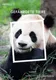 b190e7d3bc062c50d8b2ef95e9df25e9fc3e57a2.png