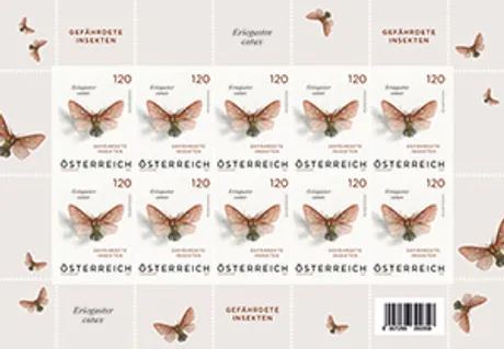edf09904f7ad23daa4d9f6aa86dc45772dccce87.jpg edf09904f7ad23daa4d9f6aa86dc45772dccce87.jpg