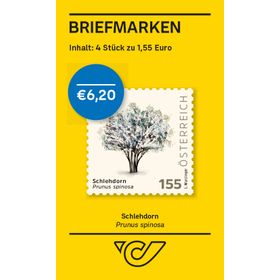 BMS4 à 1,55 'Schlehdorn – Prunus spinosa''