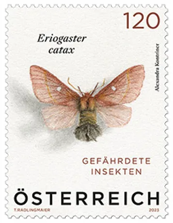 91c6a092cad1ae784f8ee34d7fde45e5652d9f8c.jpg 91c6a092cad1ae784f8ee34d7fde45e5652d9f8c.jpg