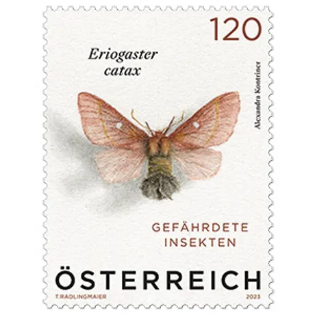 Austrian stamp 2023, nominal value 1.20 euros: Eriogaster catax moth, theme 'Endangered Insects'.
