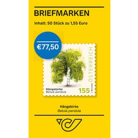 BMS50 à 1,55 ''Hängebirke – Betula pendula''
